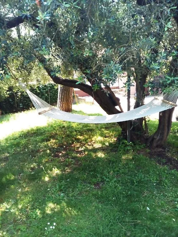 La Casa Di Ro Bed and Breakfast Roma Bed & Breakfast