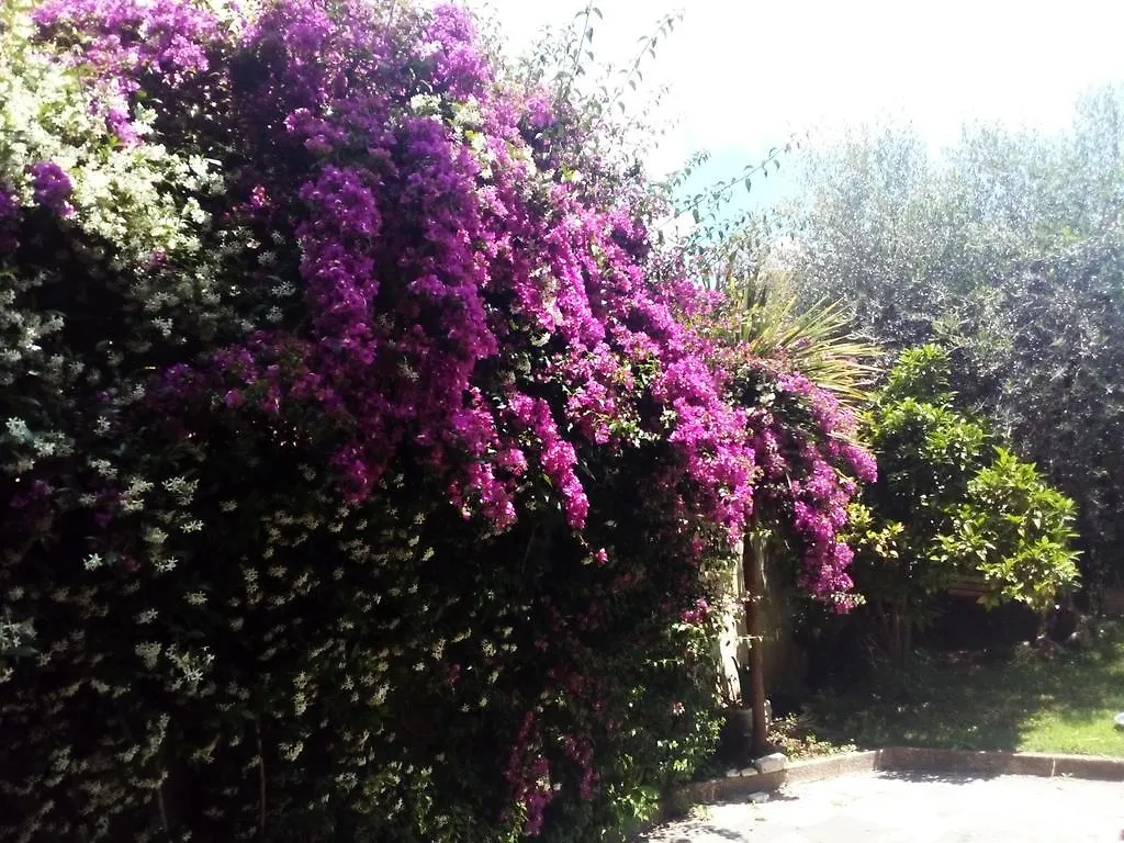 La Casa Di Ro Bed and Breakfast Roma